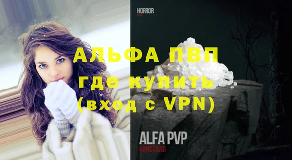 ALPHA PVP Гусев