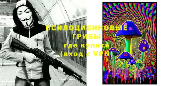 МДПВ Гусиноозёрск