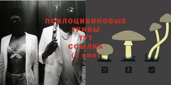 ALPHA PVP Гусев
