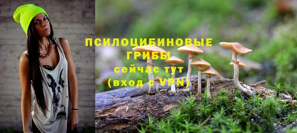 гидропоника Гусь-Хрустальный