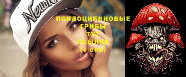 ALPHA PVP Гусев