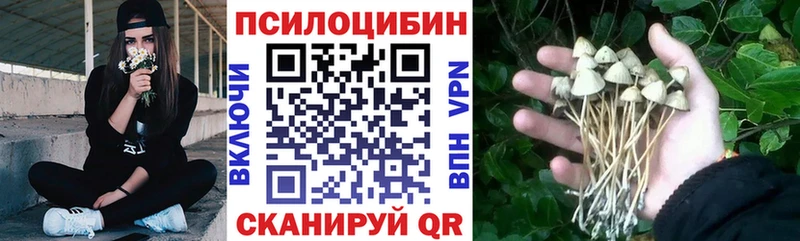 Купить где Кольчугино Галлюциногенные грибы прущие грибы